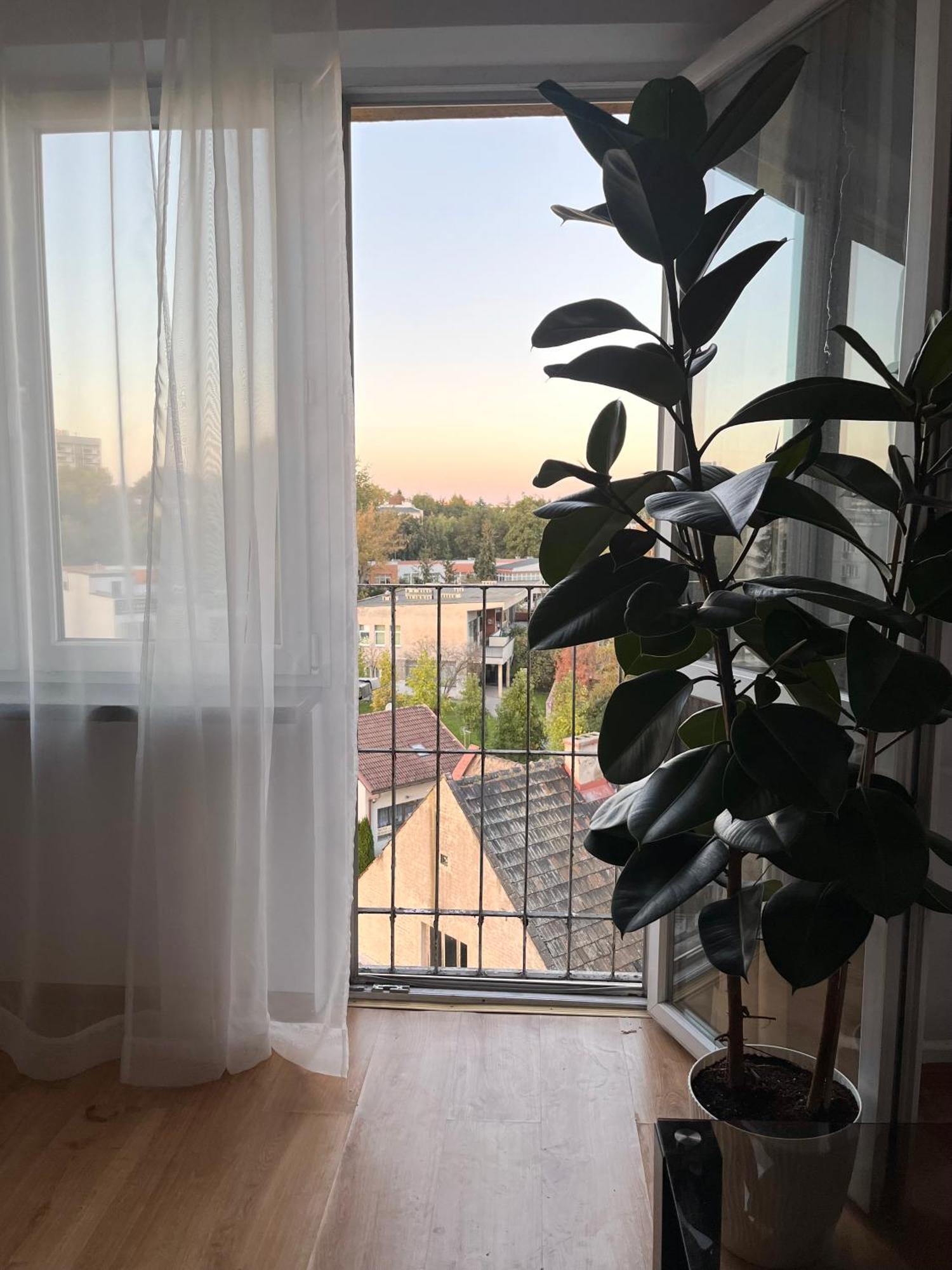 Apartment Tauron Arena *